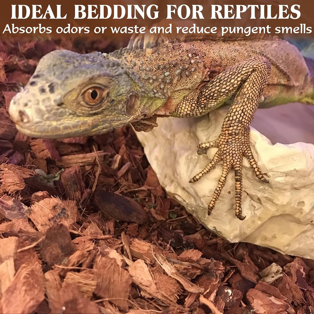 ZeeDix 10LBS Coconut Husk Chip Substrate for Reptiles