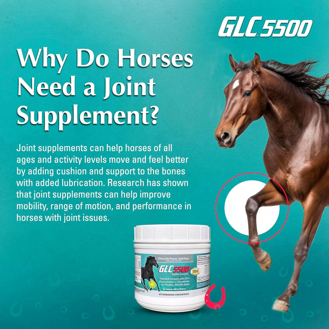 GLC Direct 5500 Equine Formula - Joint Supplement for Horses