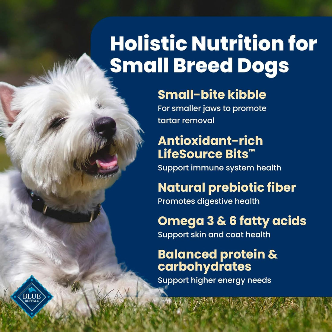 Blue Buffalo Life Protection Formula Chicken & Brown Rice Small Breed