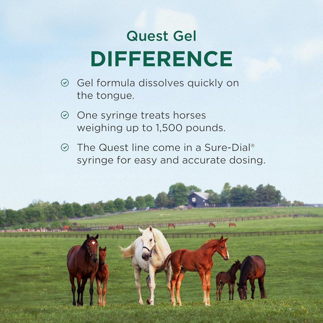 Quest (moxidectin) Gel Dewormer for Horses, 0.5 oz Syringe