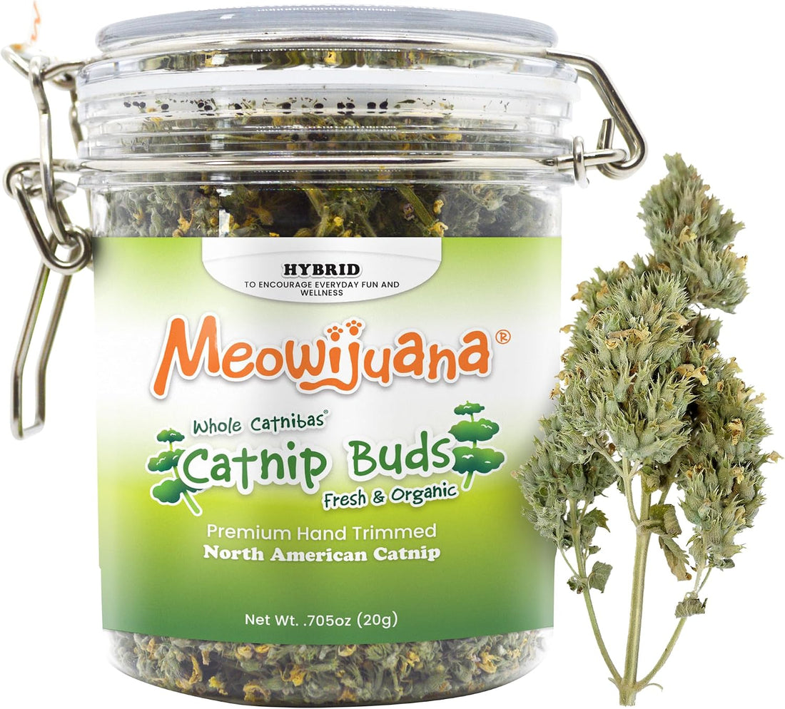 Meowijuana Meowi-Waui Catnip Blend | High-Potency
