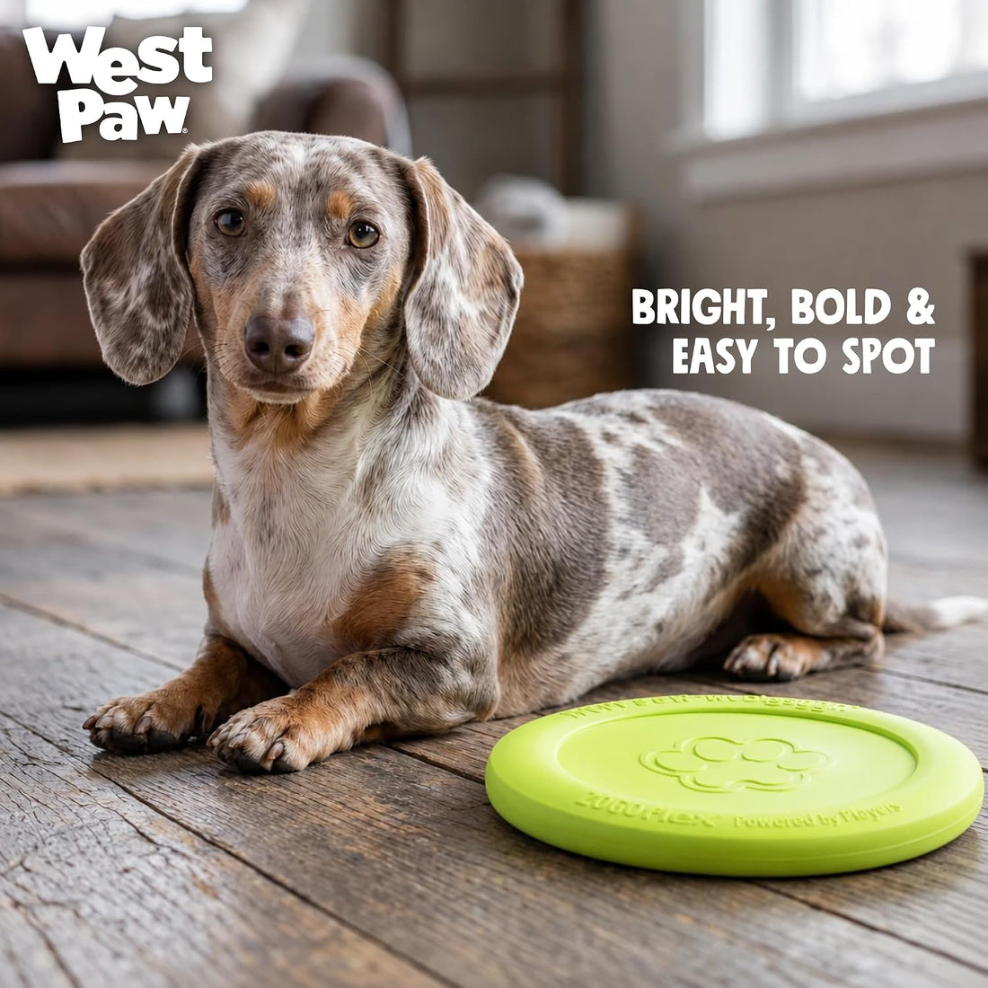 WEST PAW Zisc High-Flying Disc Dog Toy