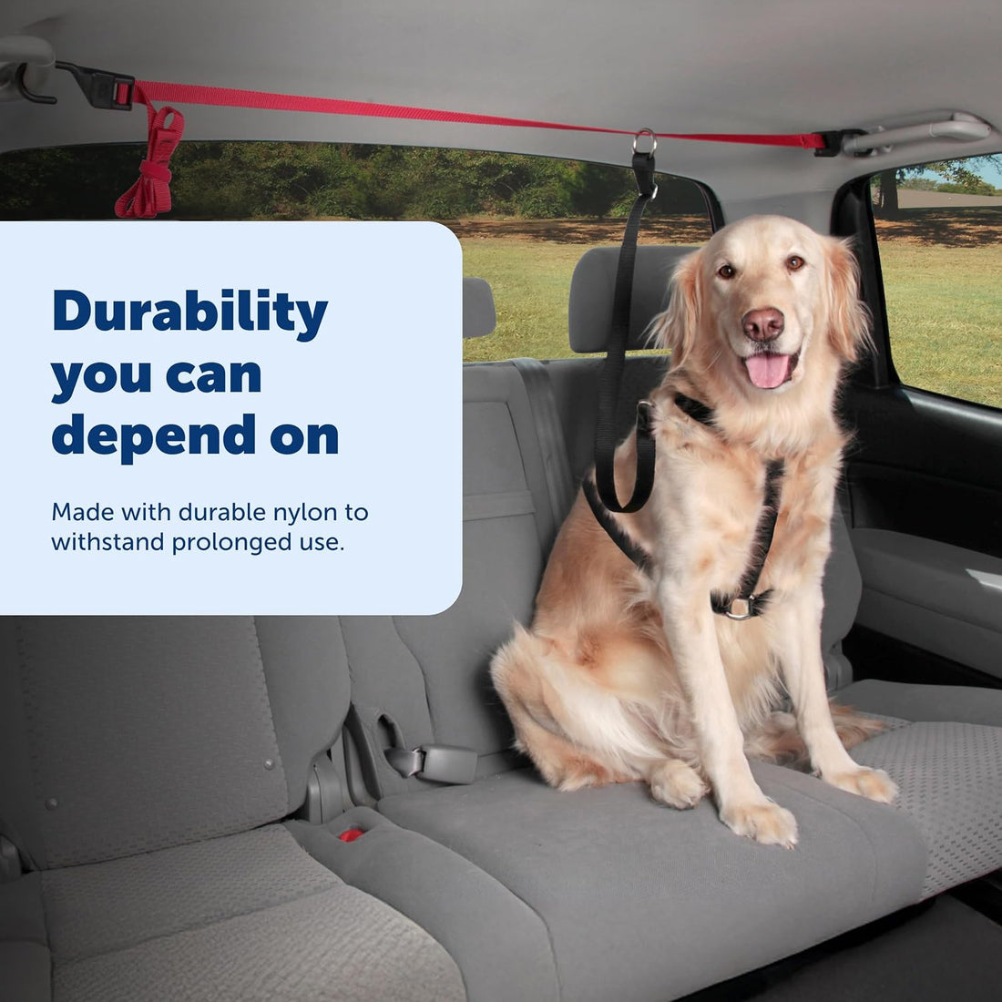 PetSafe Happy Ride Dog Zipline Car Leash