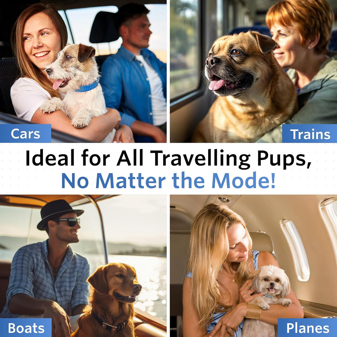 Anti-Motion Sickness and Nausea Relief for Medium Breed Dogs