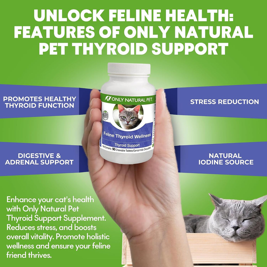 Only Natural Pet Thyroid Support Supplement for Cats