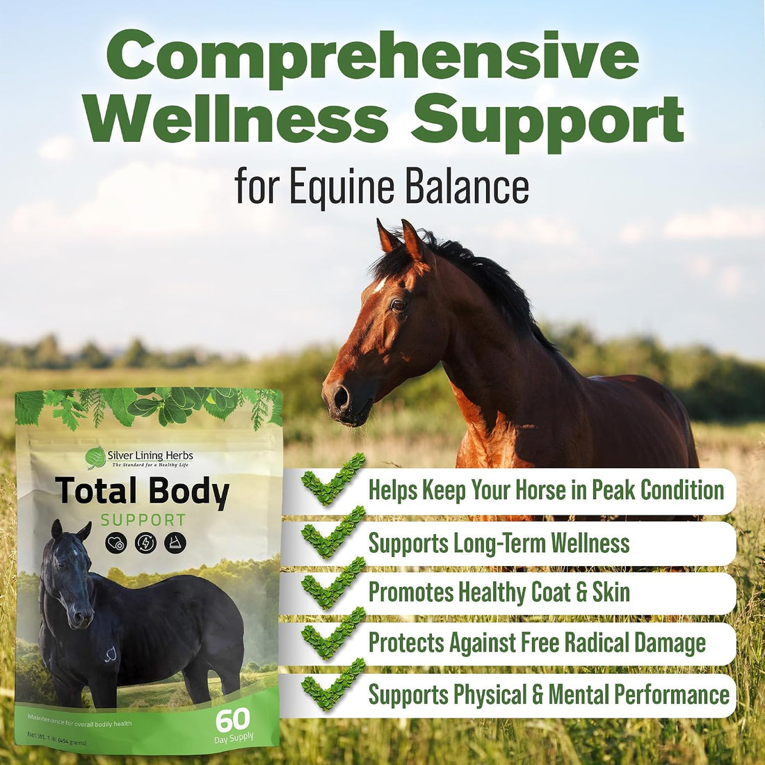 Silver Lining Herbs Total Body Supplement - Healthy Coat for Horses