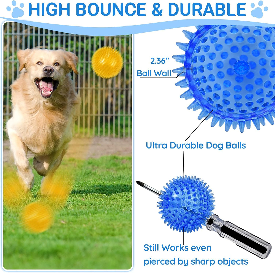 LECHONG 4-Pack Large Squeaky Dog Balls