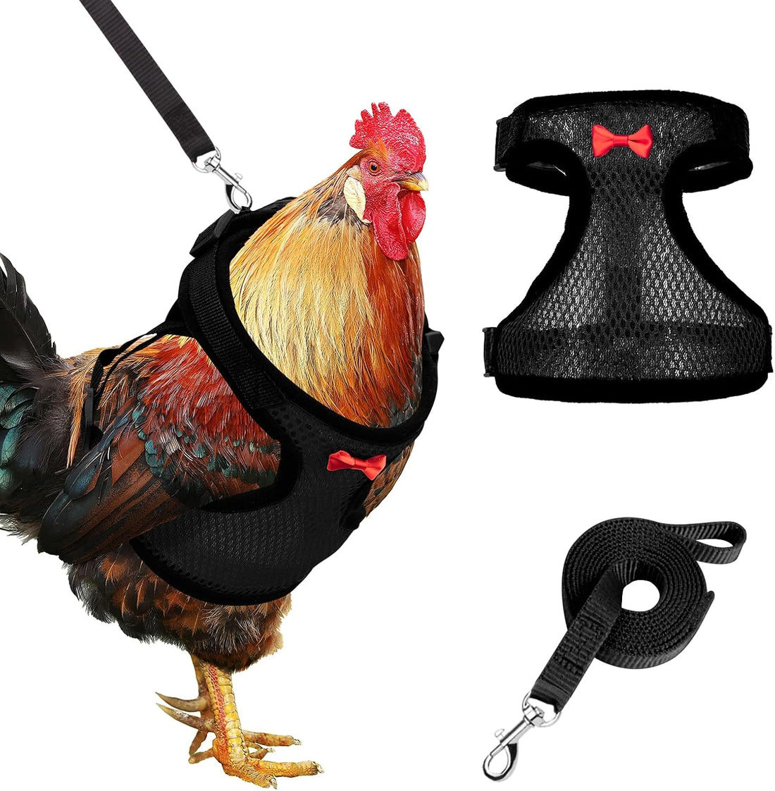 Adhafera Chicken Harness with Leash