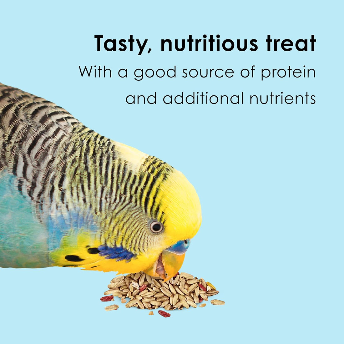 Kaytee Oat Groats Treat Jar- All Pet Birds 11 oz
