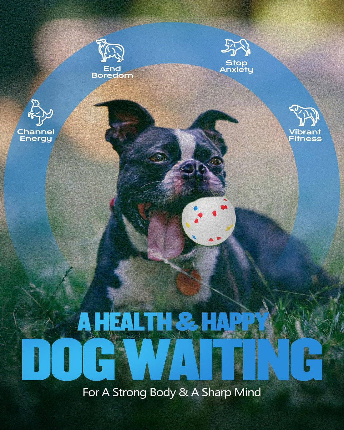 Automatic Dog Ball Thrower Launcher for Small to Medium Dogs