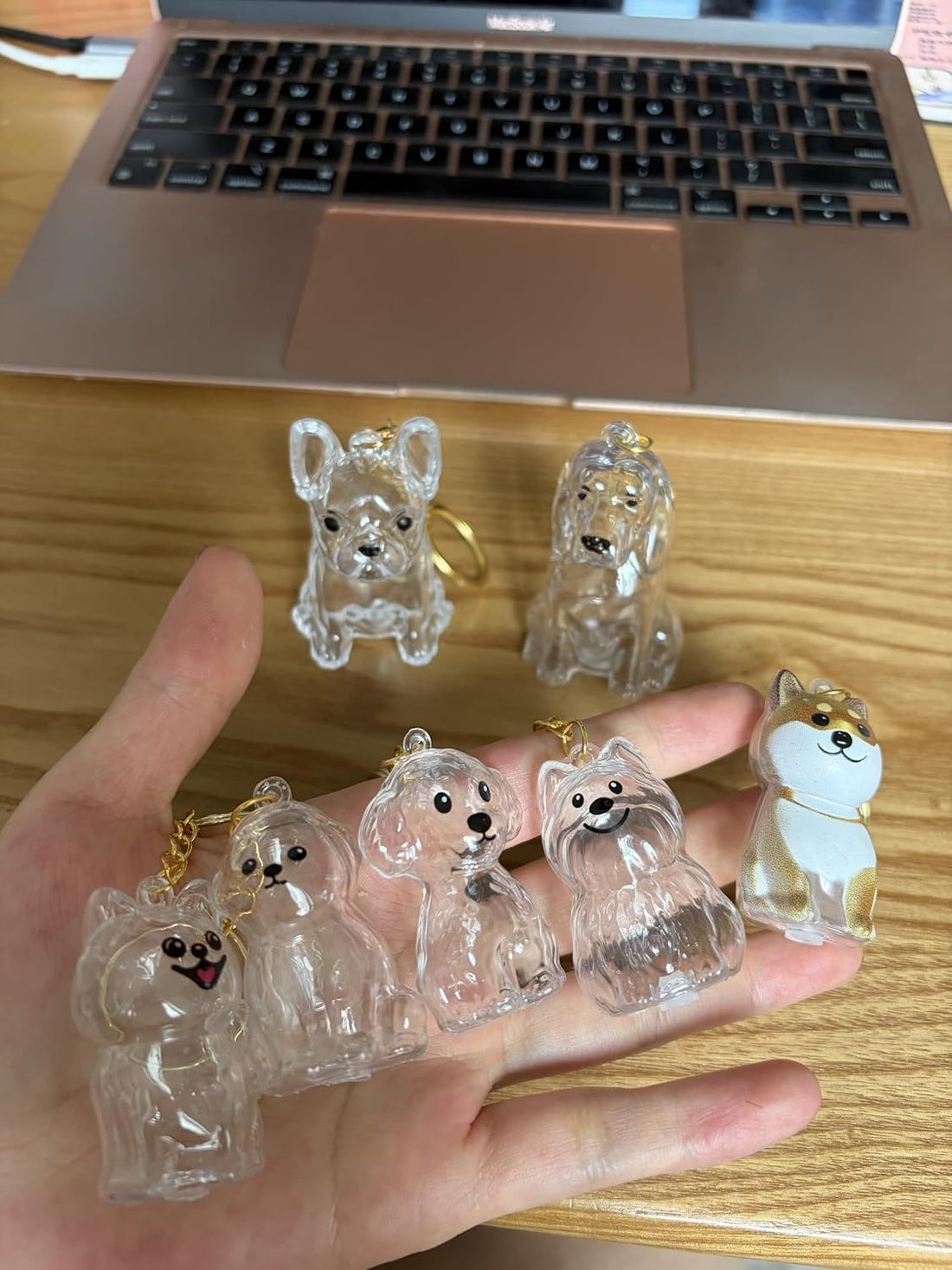 3D Clear Pet Hair Keepsake Keychain