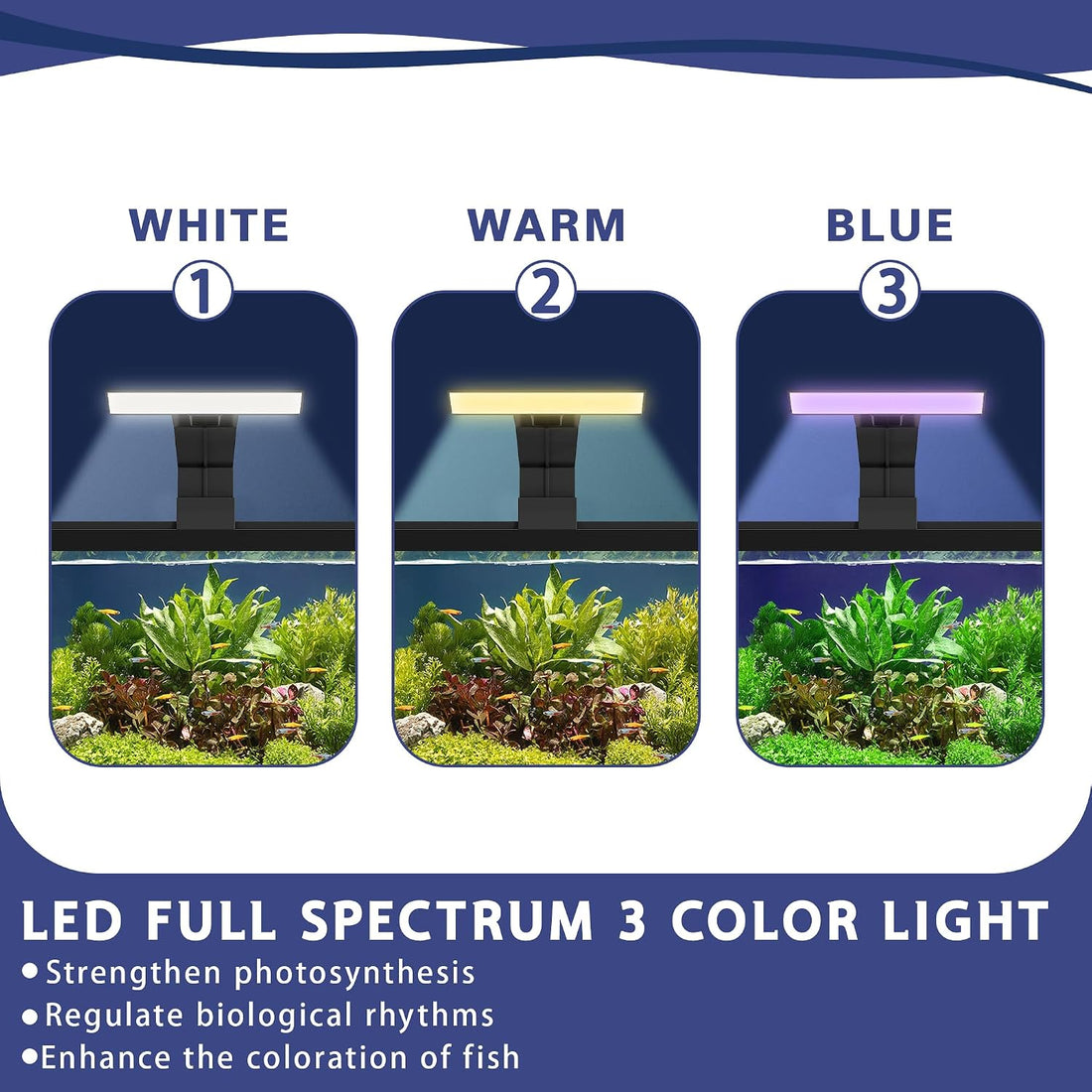 5.3 Gallon Fish Tank, Betta Fish Tank, Starter Kit
