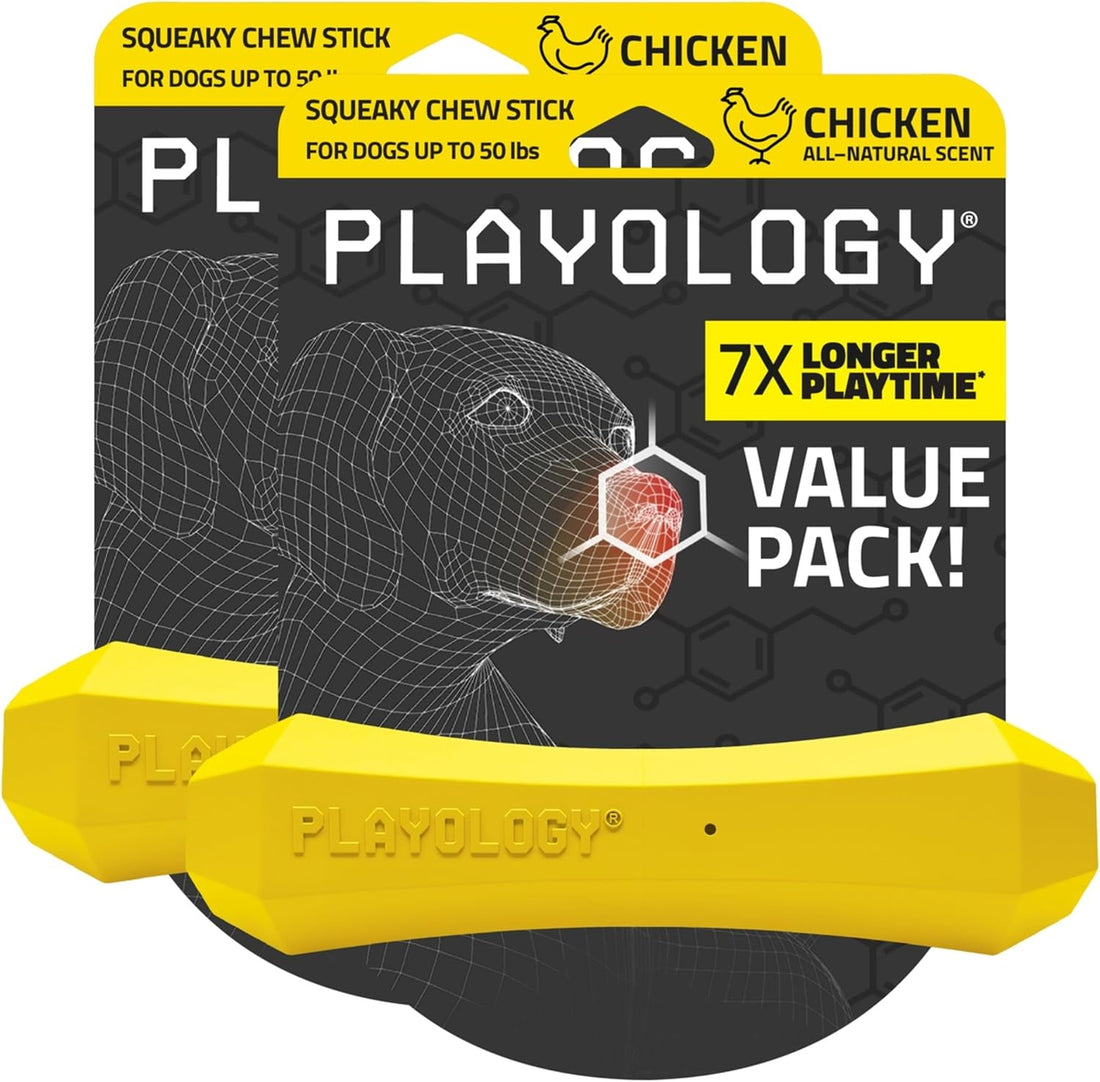 Playology Squeaky Chew Stick - Scented Dog Toy - Jumbo, Beef Scent
