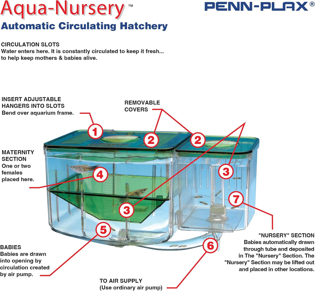 Penn-Plax AN2 Aqua Nursery and Hatchery Breeding Box for Your Aquarium