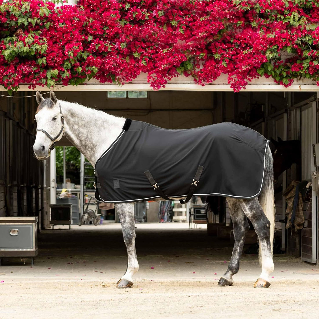 Equinavia Vind Lightweight Stable Blanket for Horses