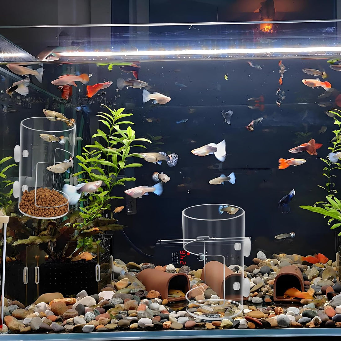 2Pcs Aquarium Fish Feeder Feeding Tray with Suction Cup