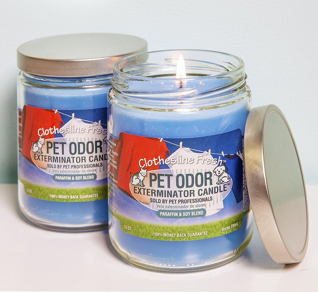 Pet Odor Exterminator Specialty Pet Products Clothesline Fresh 13 Oz