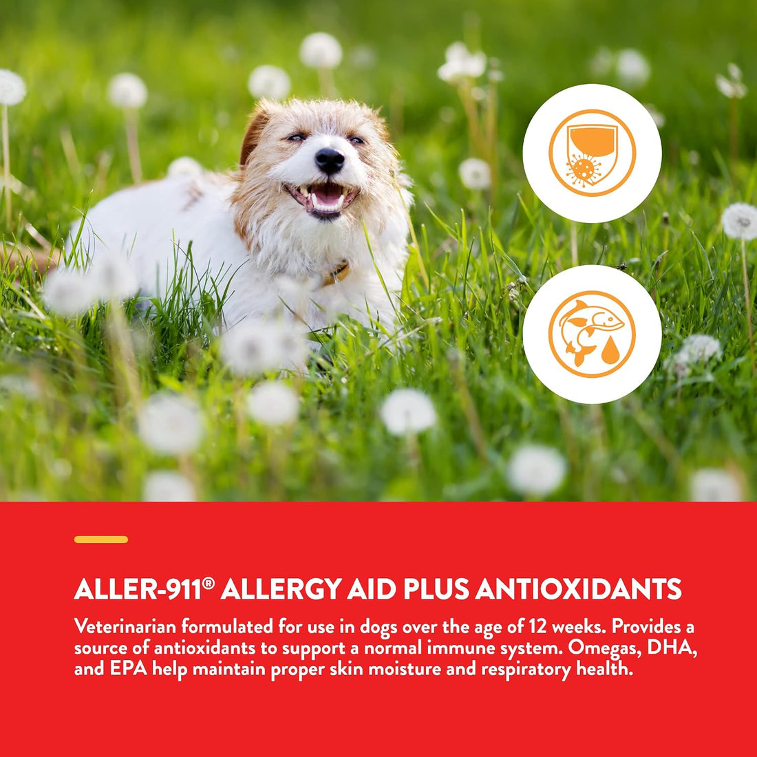 NaturVet Aller-911 Calming Aid & Allergy Aid Dog Supplement