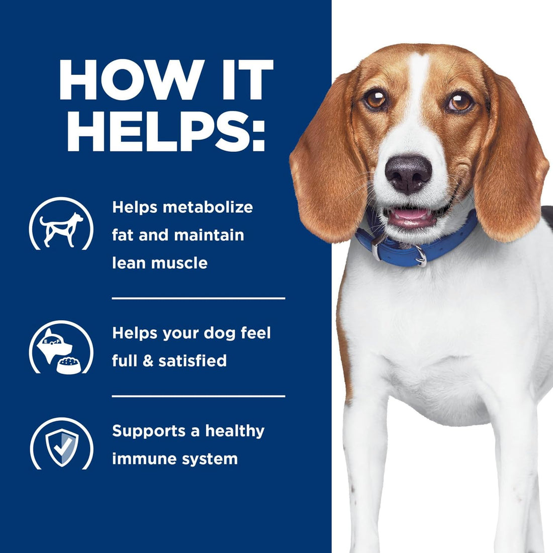 Hill's Prescription Diet r/d Weight Reduction Wet Dog Food, Chicken