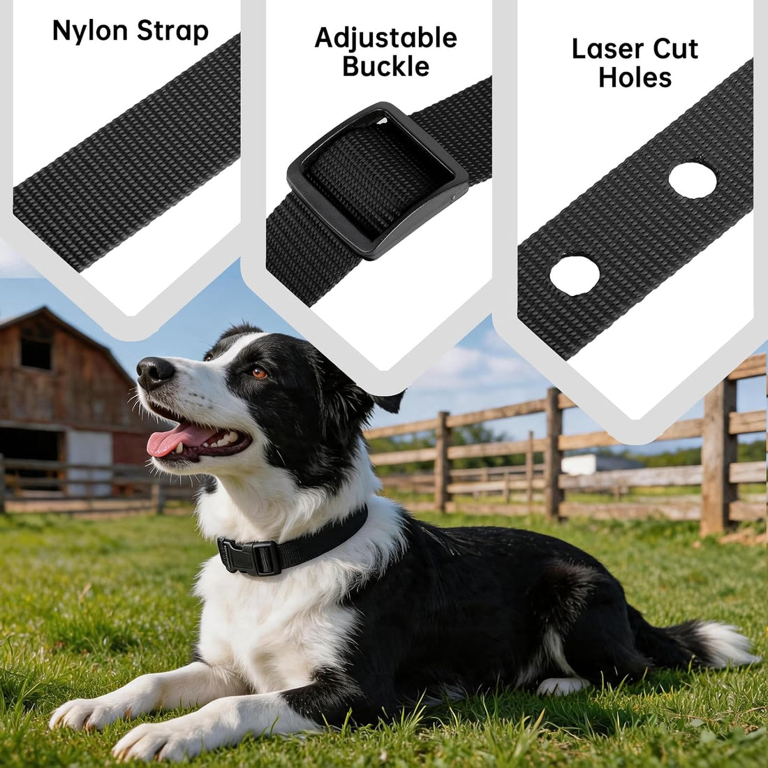 Replacement Collar Compatible with Petsafe If 100,Black