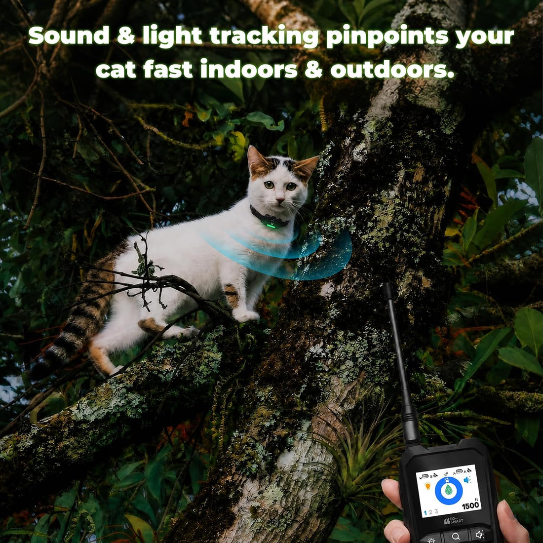 Cat GPS Tracker Without Subscription Fee, 1500 FT Range