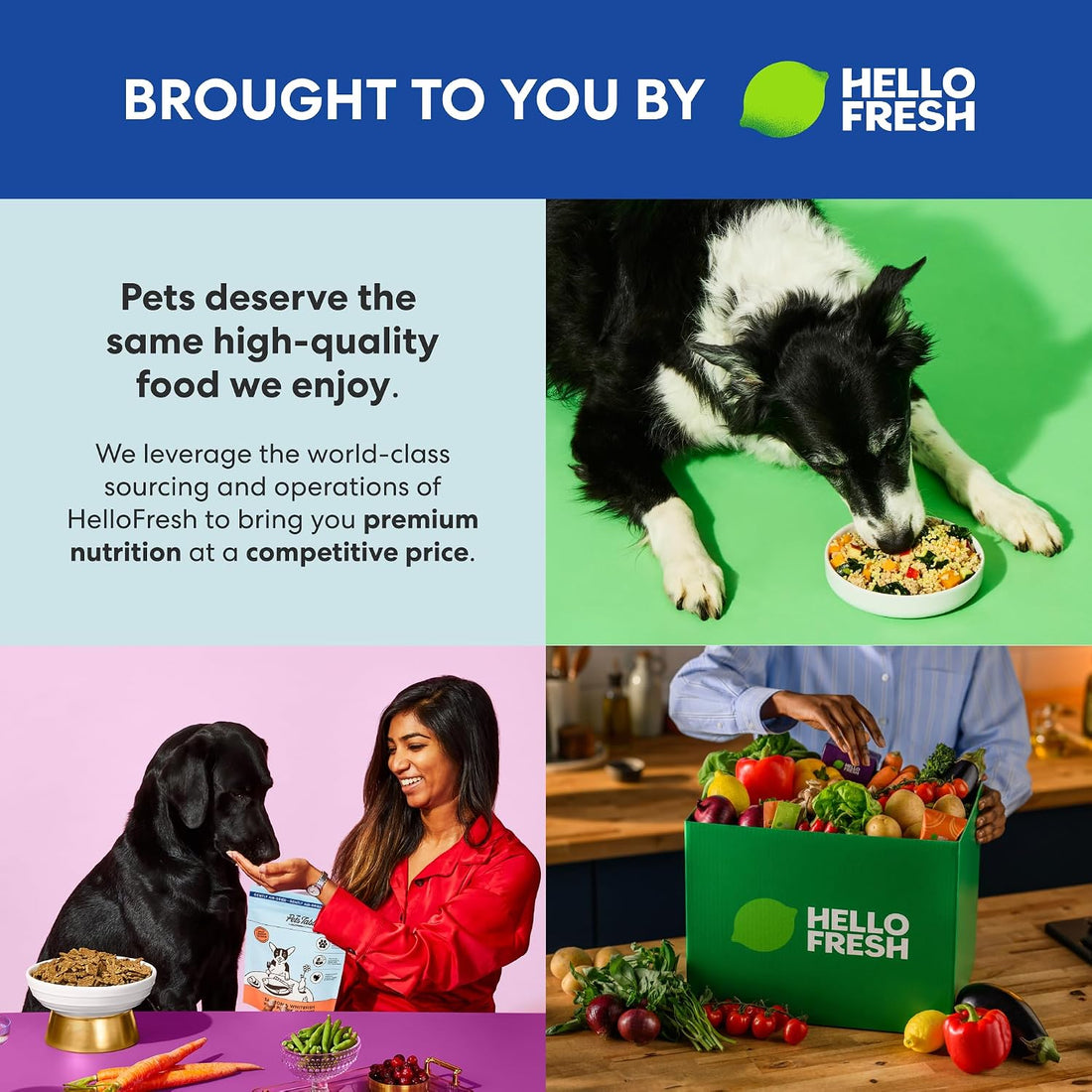 The Pets Table Air Dried Dog Food, Beef & Berries, 1 lb (16 Oz)