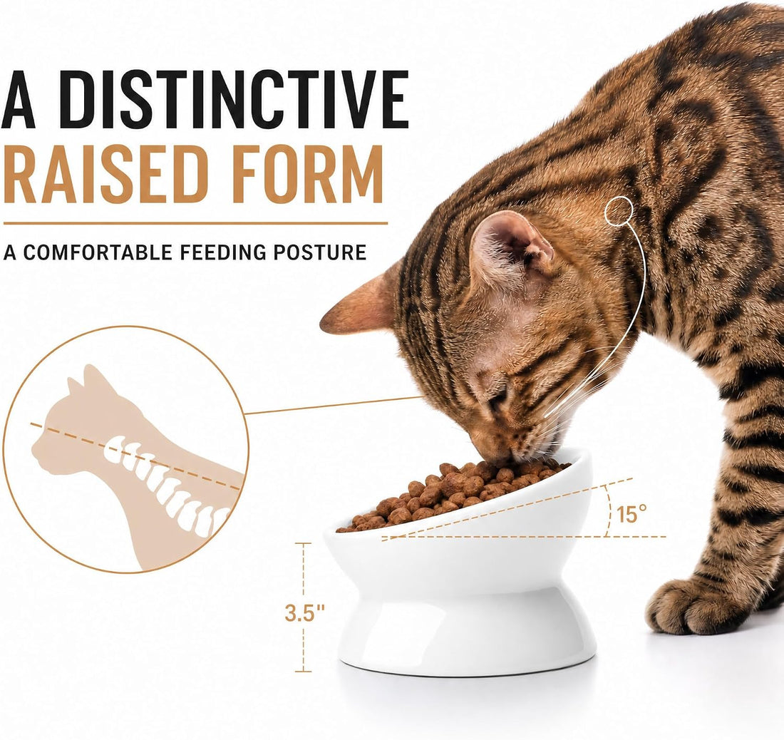 Nucookery Ceramic Raised Cat Food & Water Bowl Tilted Elevated, 5''