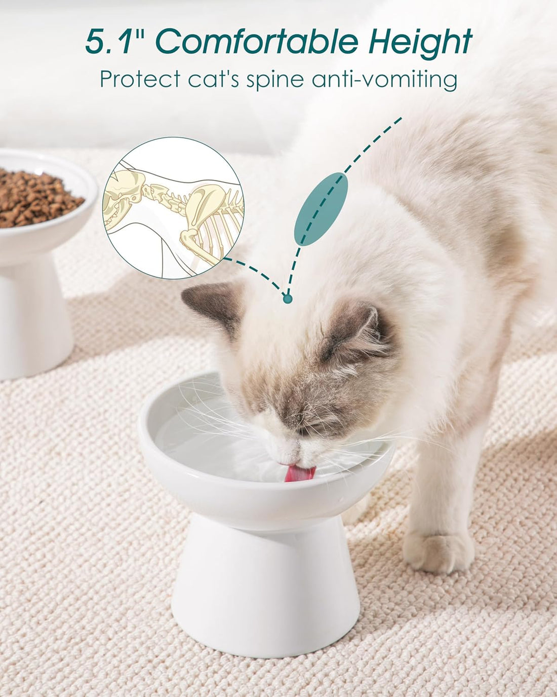 vancasso Extra Wide Elevated Cat Bowls 2-Pack