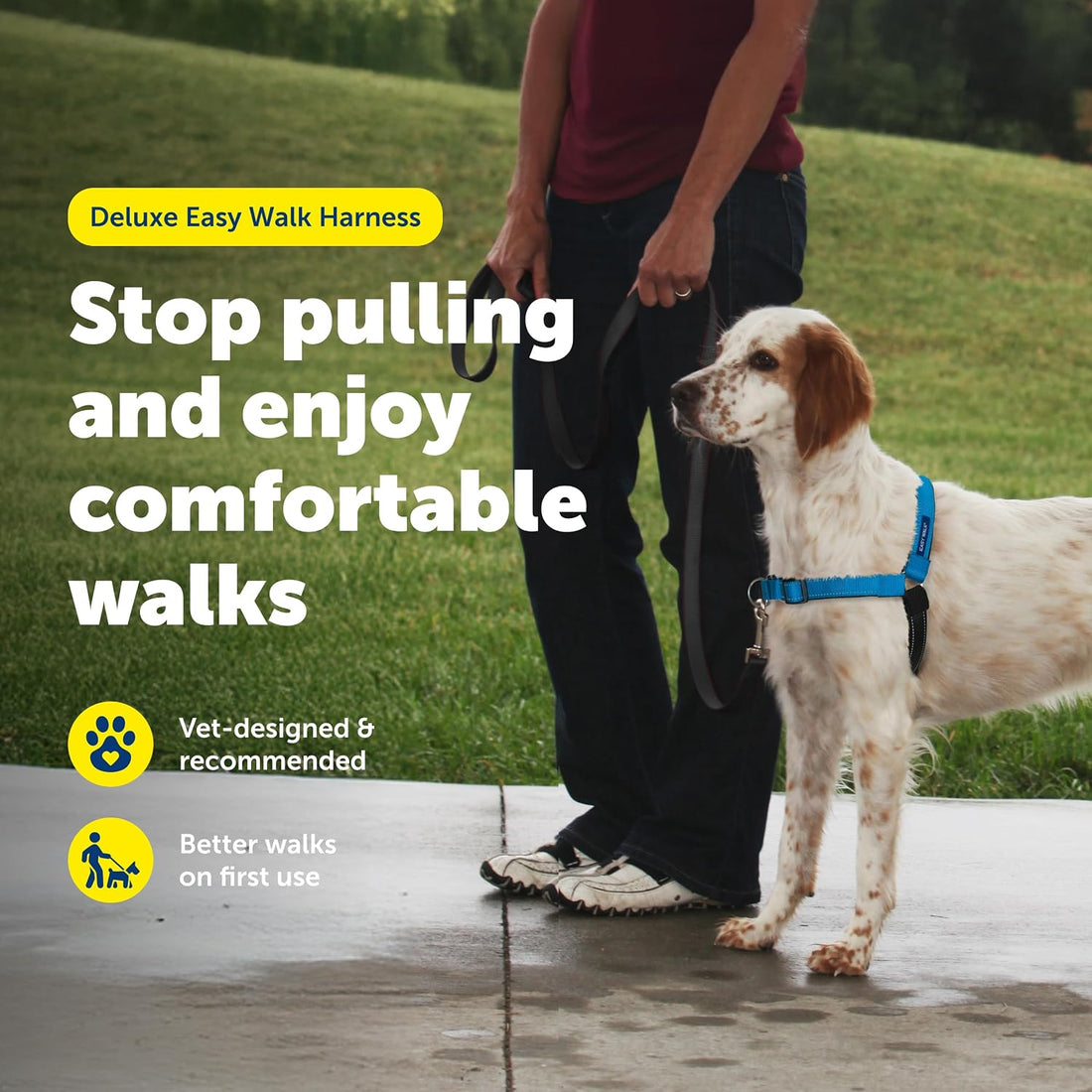 PetSafe Easy Walk Deluxe Dog Harness, No Pull Dog Harness