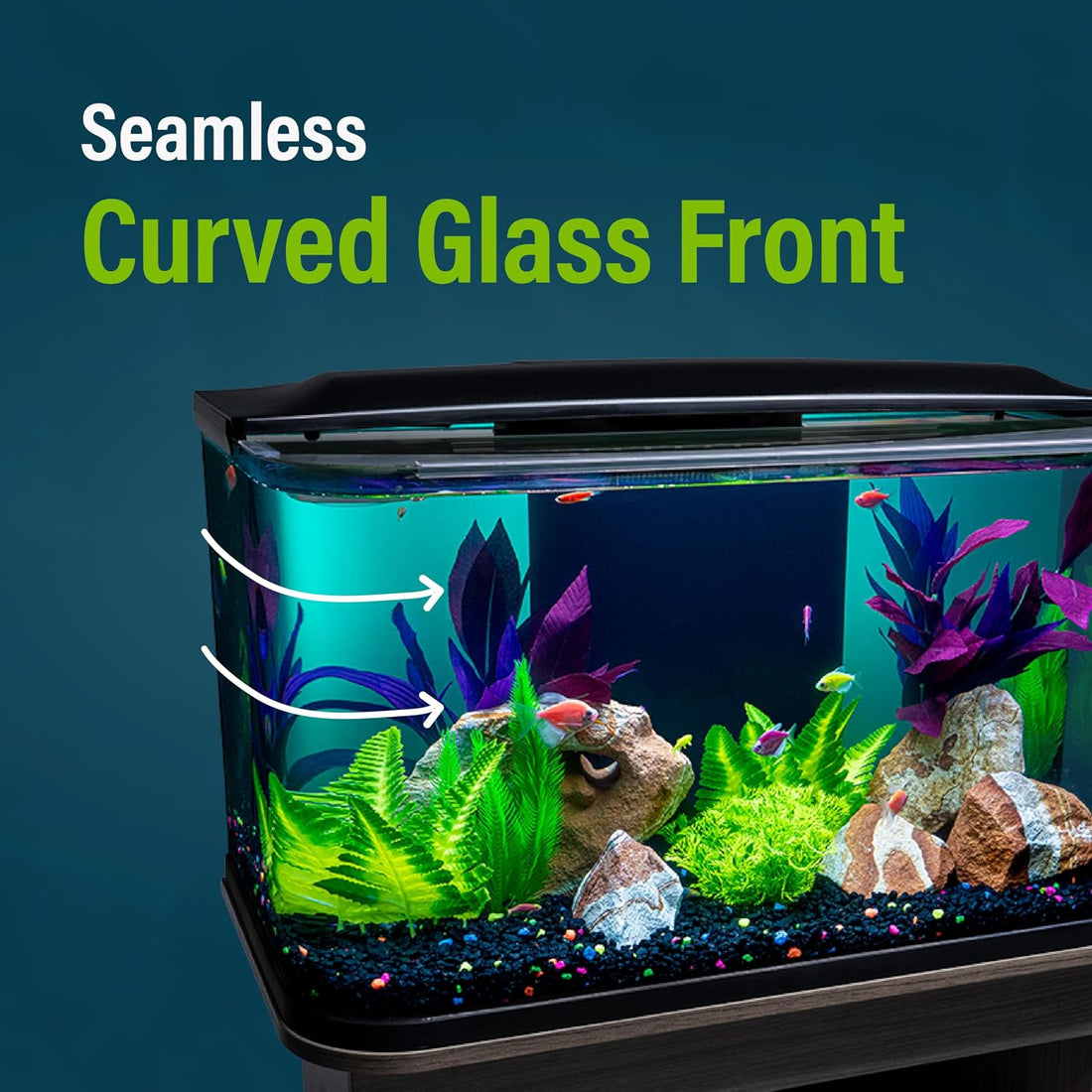 GloFish 20 Gallon Premium Fish Tank Kit