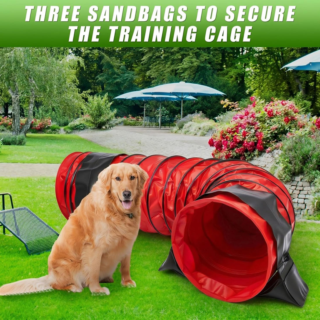Briwooody 24 in 10 Foot PVC Dog Agility Tunnel with Sandbags Dogs