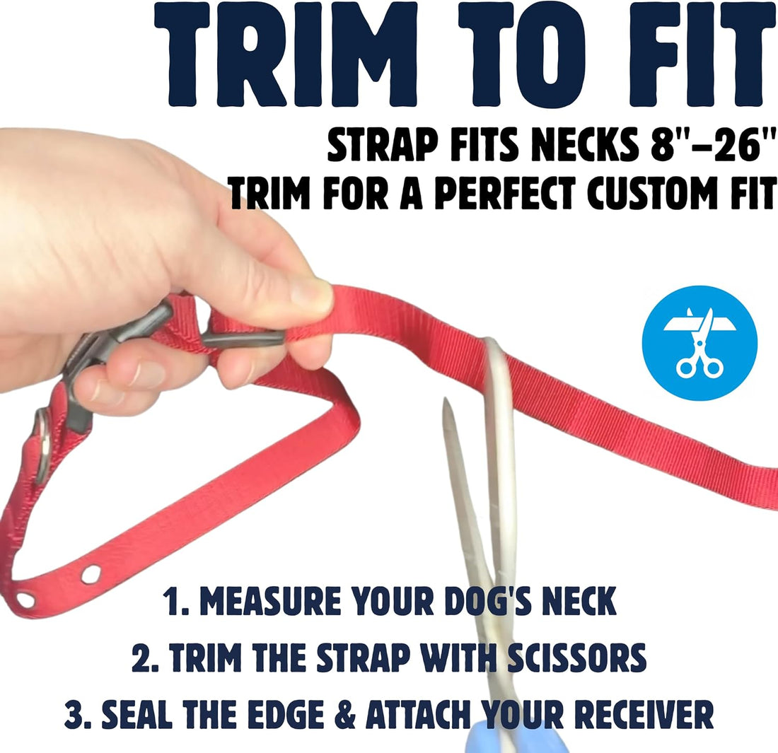 3/4" Orange Replacement Collar Strap