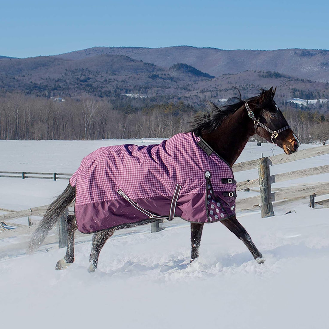 Equinavia Norse 300g Heavy Weight Horse Blanket Waterproof All