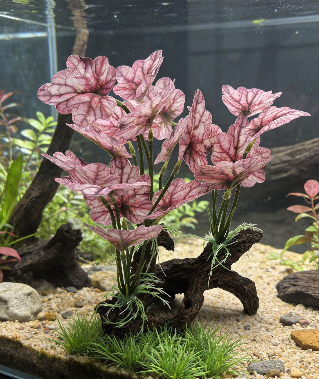 M2cbridge Fish Tank Plastic Soft Grass Artificial Betta Water Plants