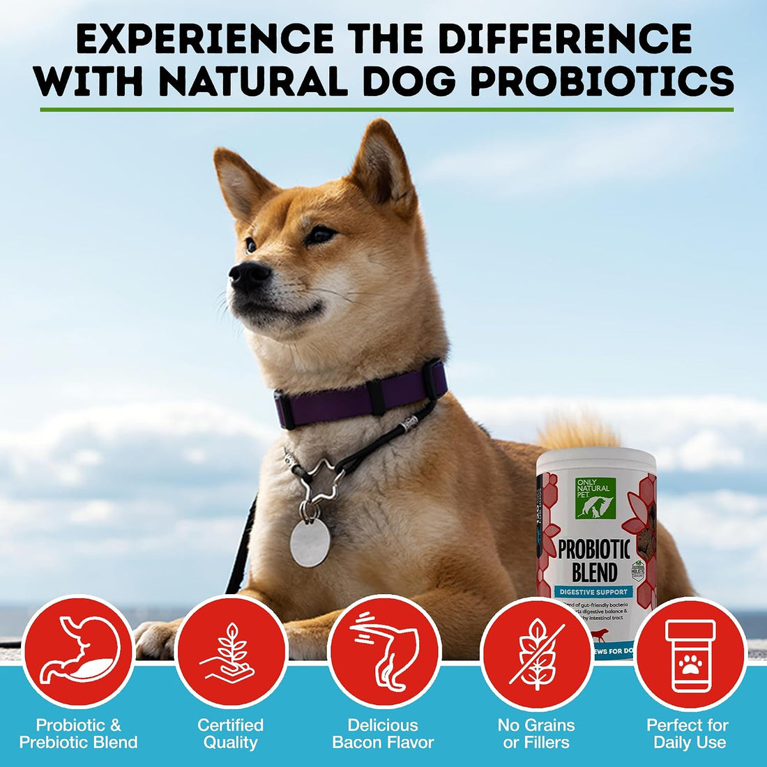 Only Natural Pet Probiotic Dog and Cat Supplement, Soft Chews