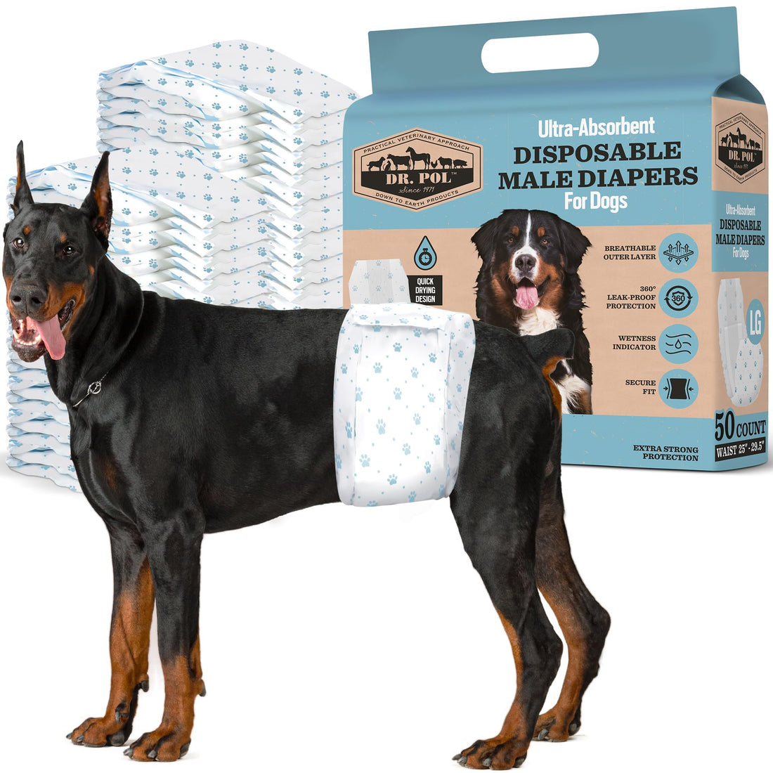 Dr. Pol Male Dog Diapers – Super Absorbent, Breathable