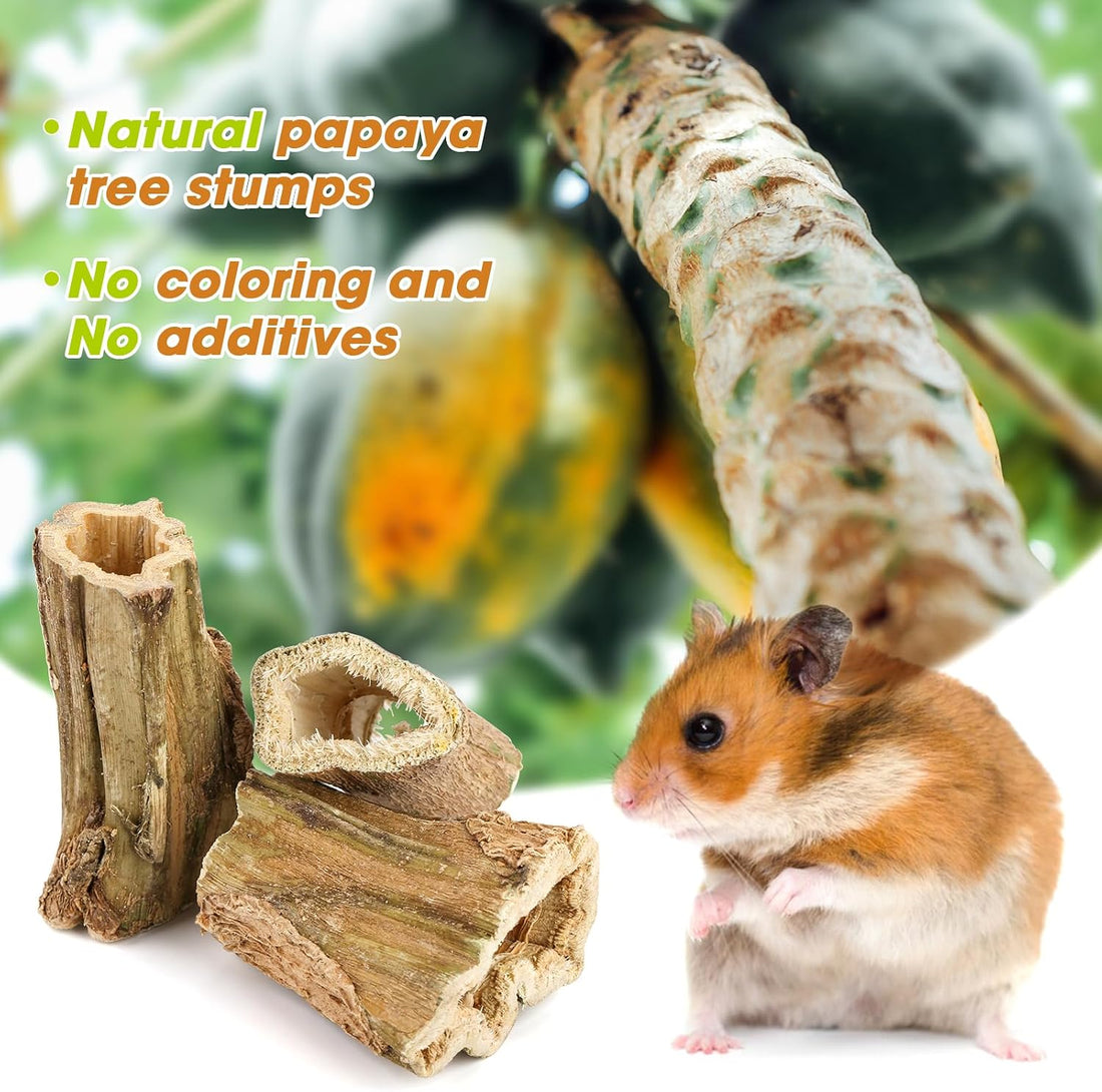 Abizoo Natural Bunny Chew Toys,6 Pcs Organic Papaya Wood Sticks Chew