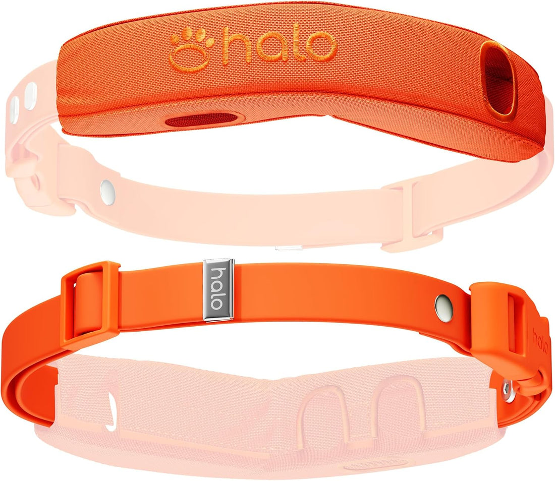 Halo Collar 5 Pro Case + Strap Kit