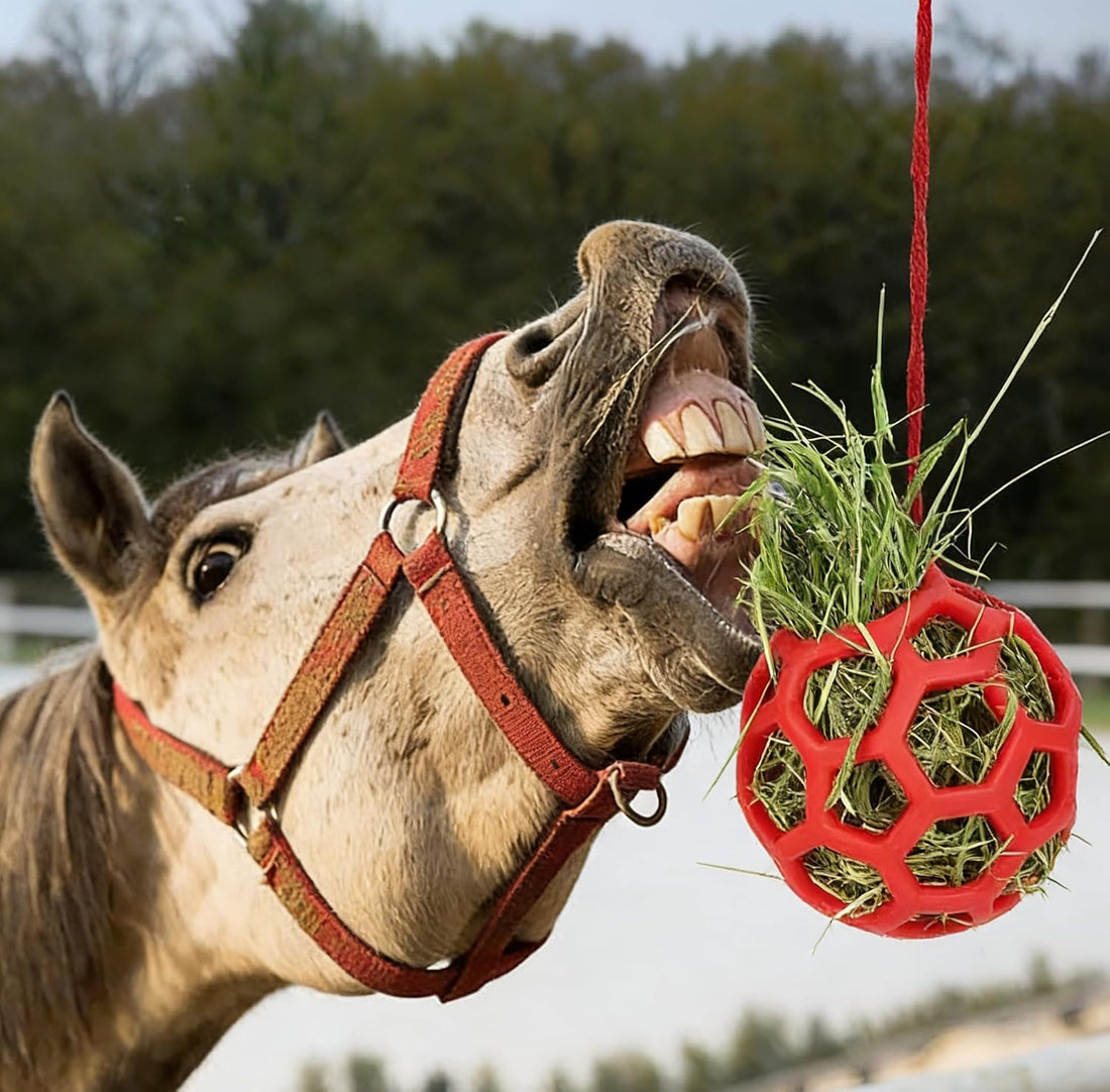 Blue Hanging Horse Treat Ball – Durable TPR Hay Feeder Toy for Horses