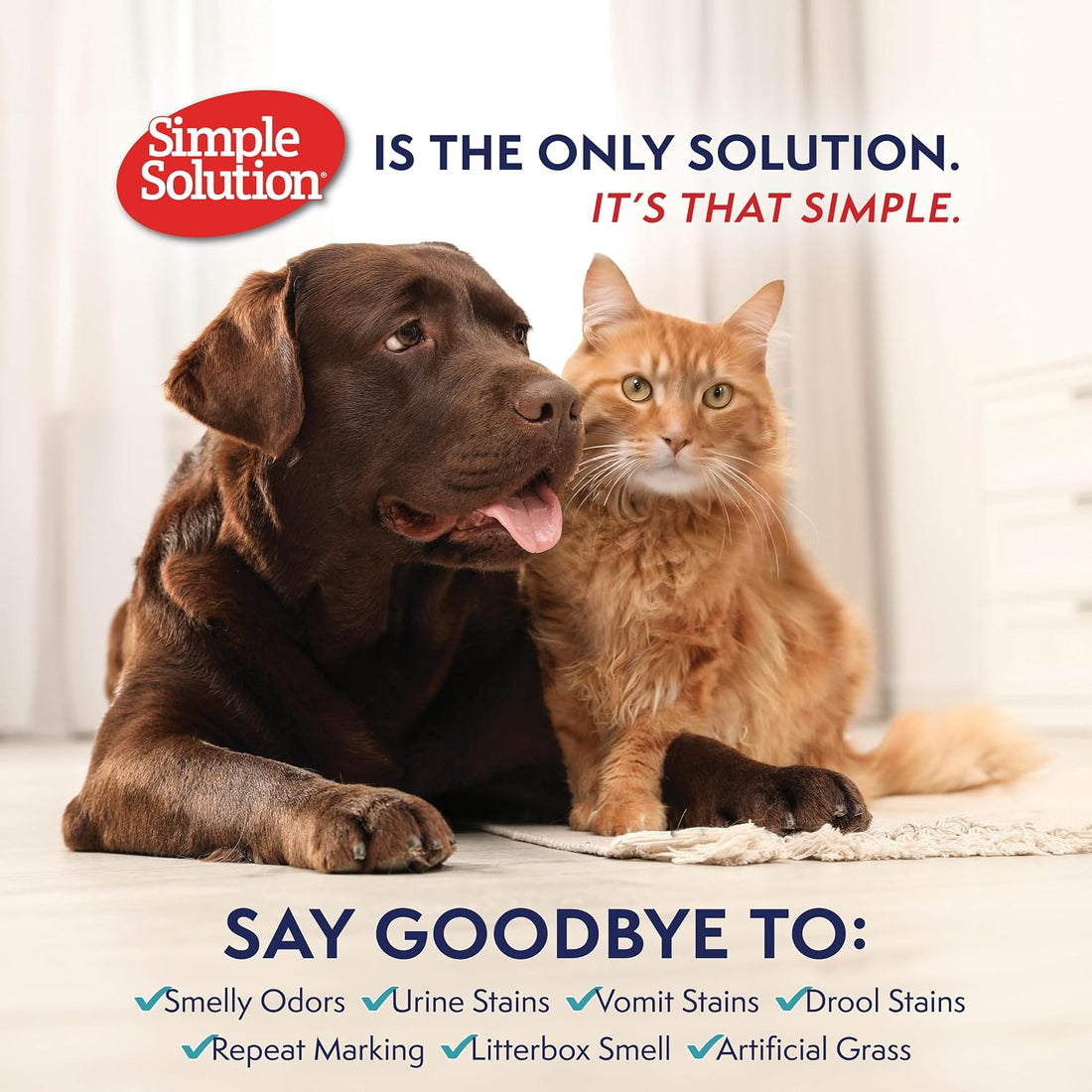 Simple Solution Hard Floor Dog Stain & Odor Remover, Enzyme Cleaner