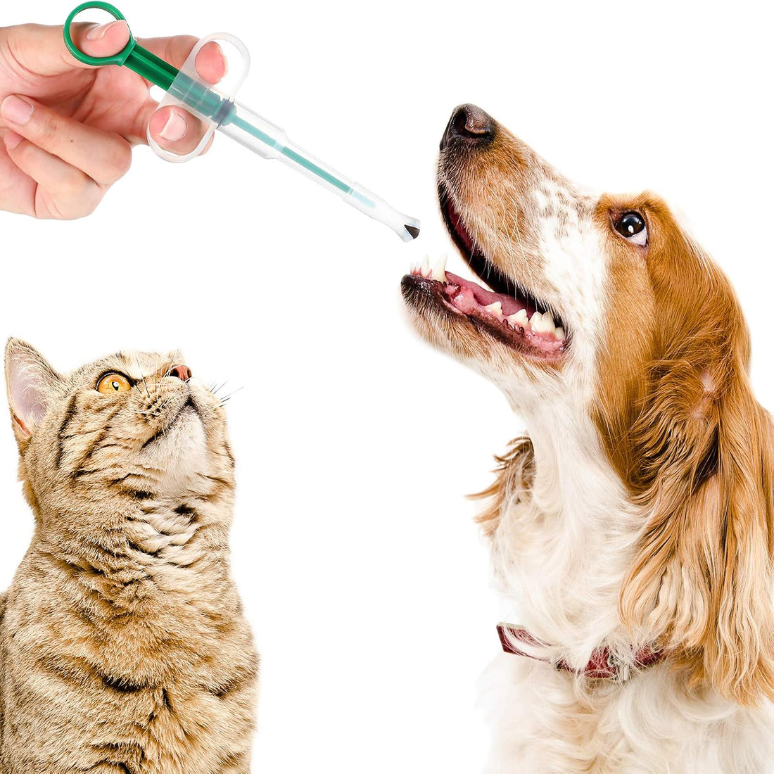 Nuanchu 4 Pcs Cats Pill Shooter Popper for Pet Dogs