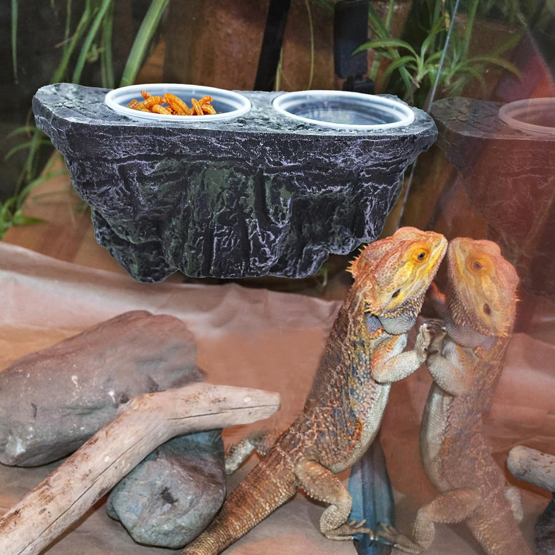 kathson Magnetic Reptile Feeder Ledge,Double Bowl Magnetic Lizard