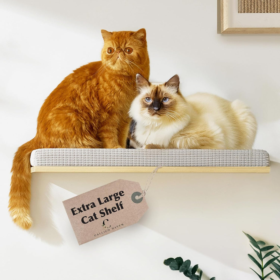 Extra Large 23.6”x12.6” CALLICO HAVEN- Stylish Cat Wall Shelves