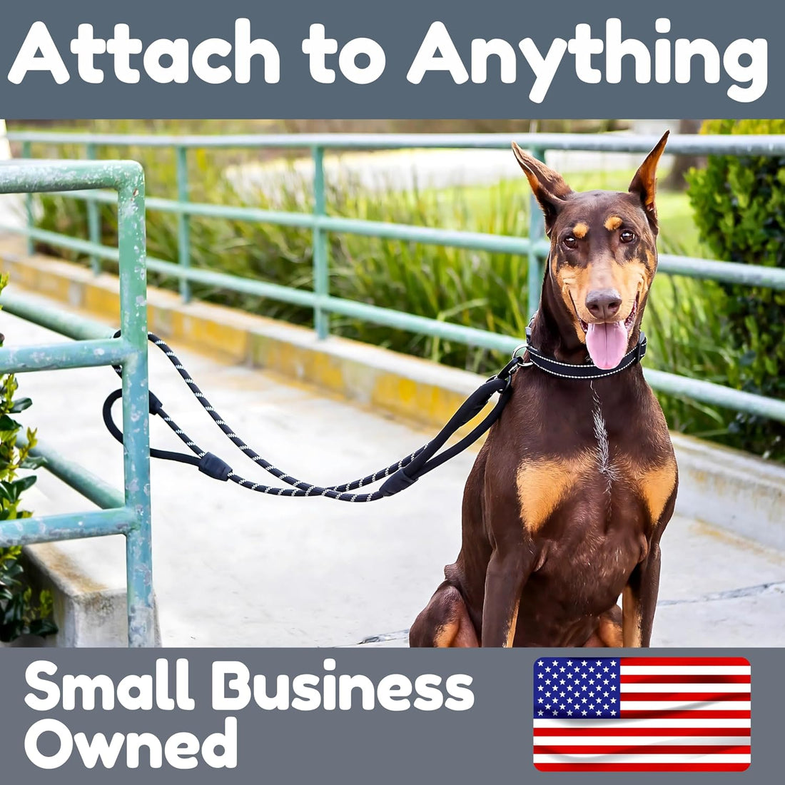 6 Foot Dog Leash, Two Extra Padded Handles, Locking Carabiner Clip