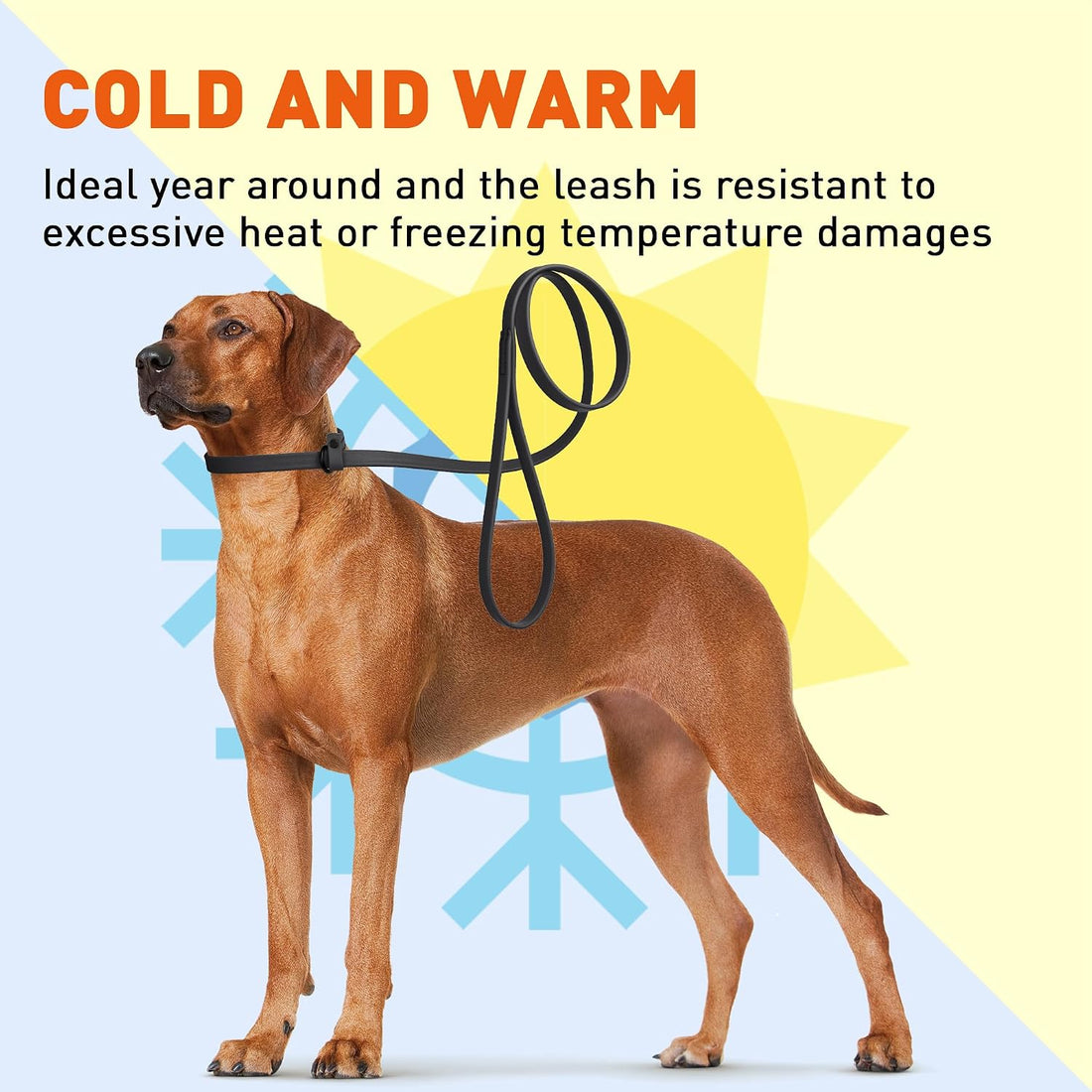 Dogline Biothane Slip Dog Leash - for Small, Medium and Large Dogs