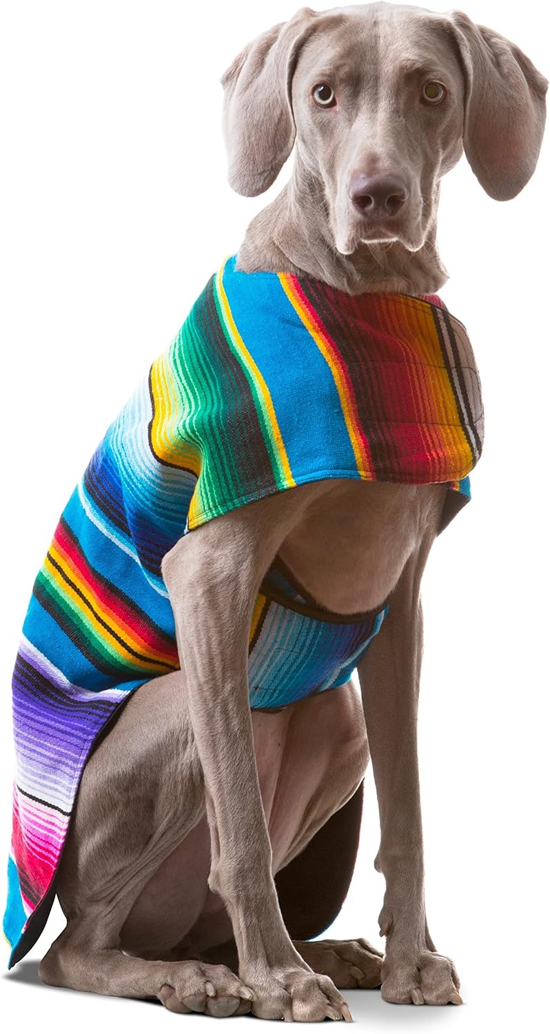 Dog Clothes - Handmade Dog Poncho from Authentic Mexican Blanket by