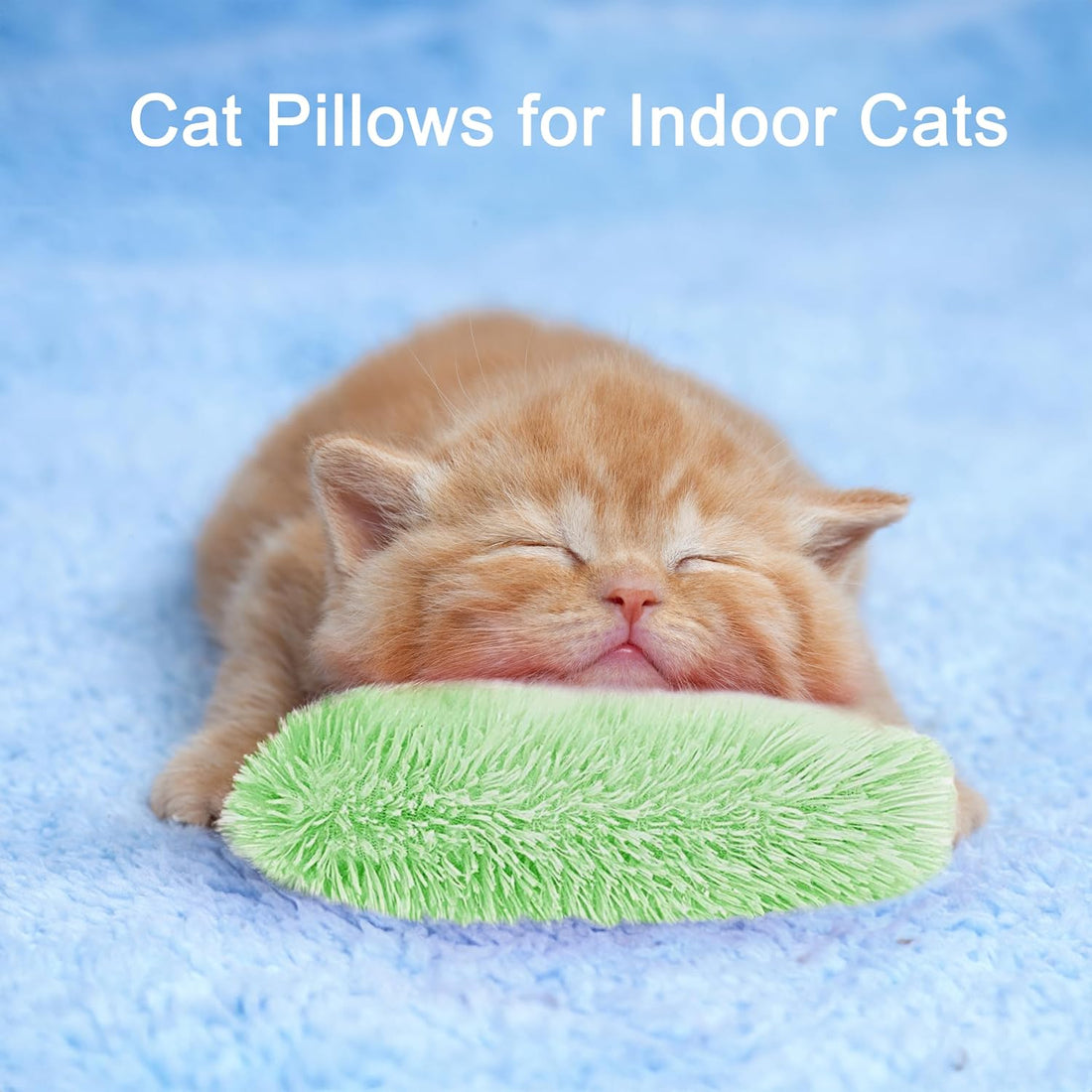 Rishoesu 3 Pcs Interactive Cat Toys Cat Pillows