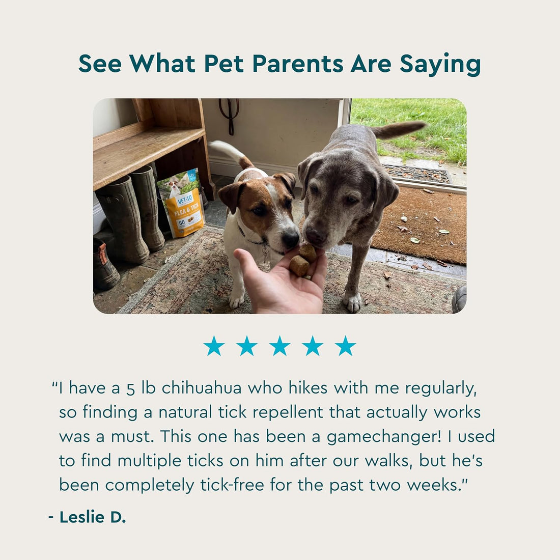 VetIQ Flea & Tick Support for Dogs, Flea and Tick Chewable