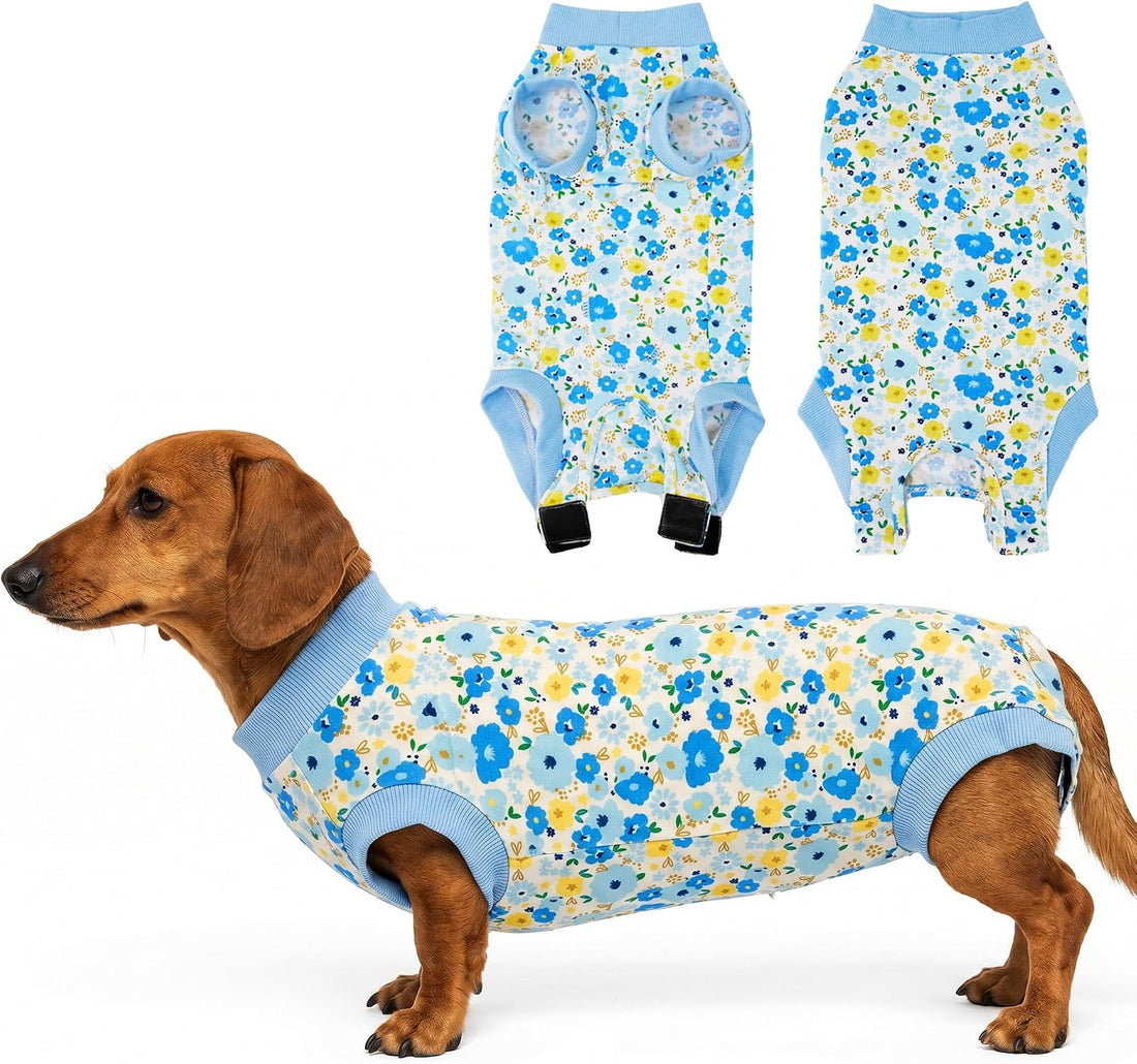 Dog Surgery Recovery Suit Spay Recovery Onesie for Female Male Dogs