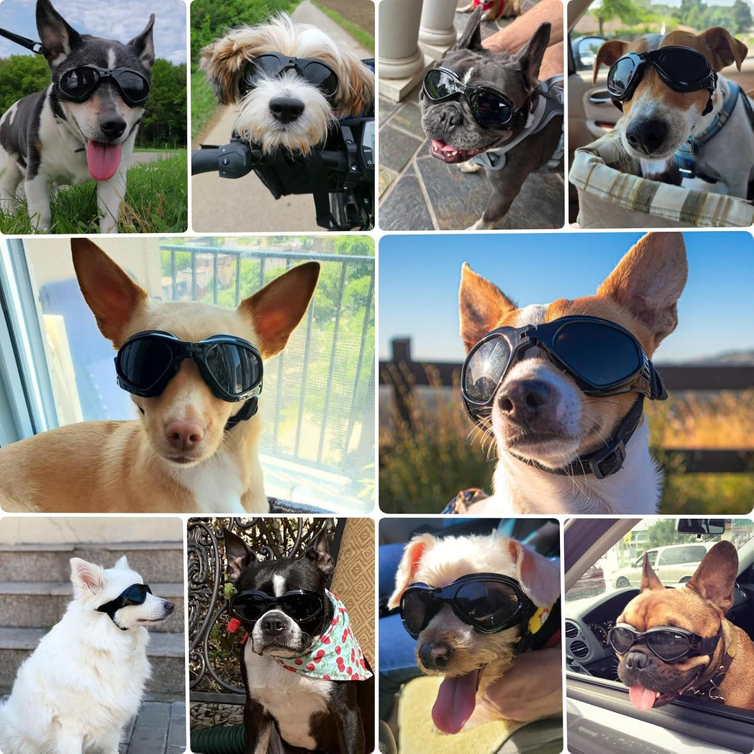 Dog Goggles Medium Breed, Dog Sunglasses for Medium Dogs Eye